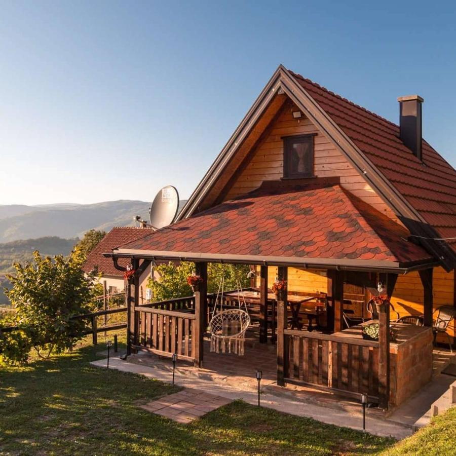 Villa Brvnara Na Bregu Bajina Basta Exterior foto