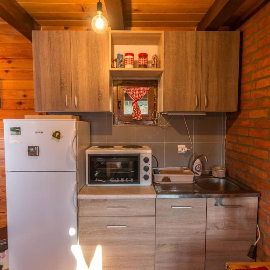 Villa Brvnara Na Bregu Bajina Basta Exterior foto