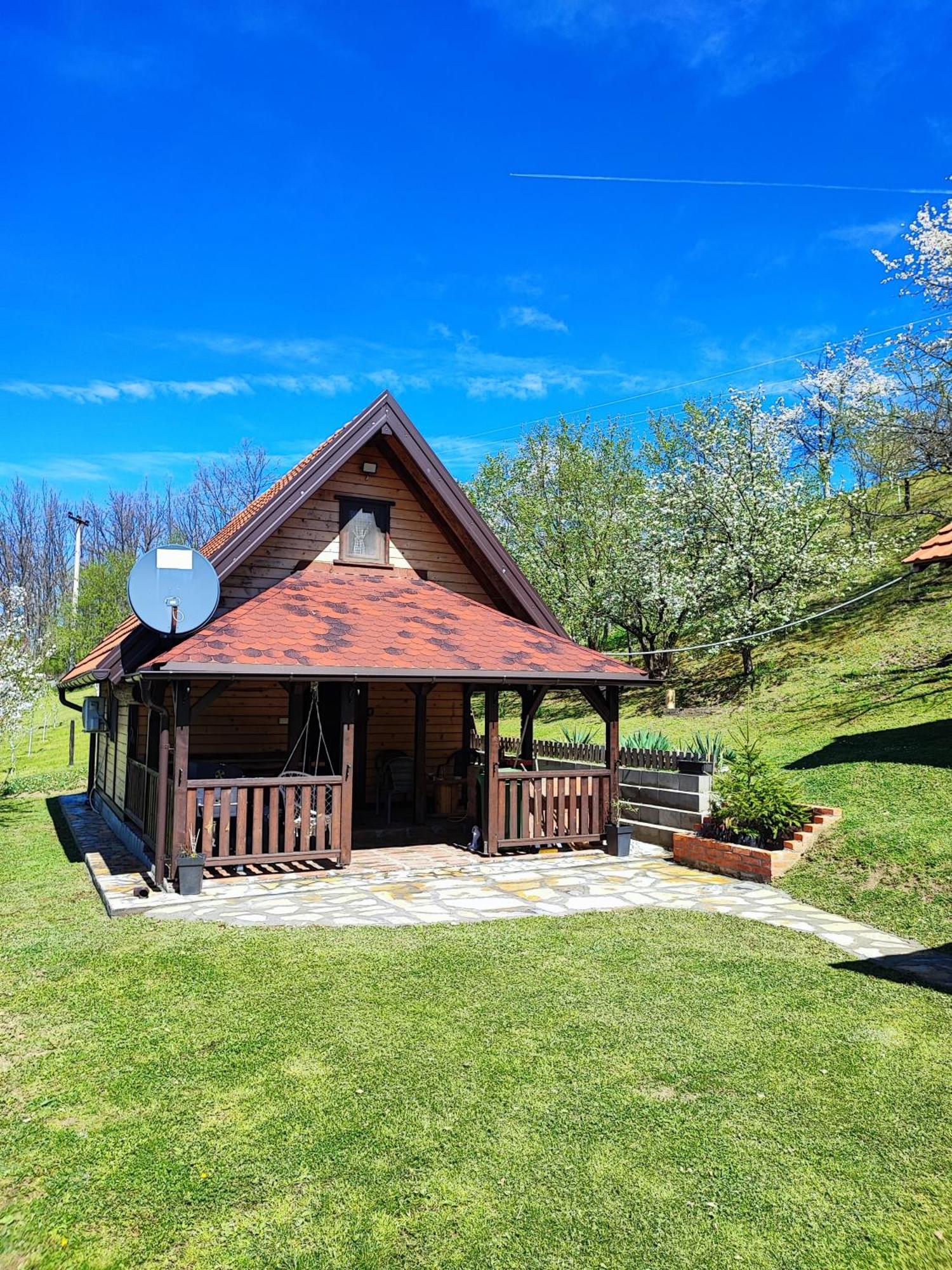 Villa Brvnara Na Bregu Bajina Basta Exterior foto