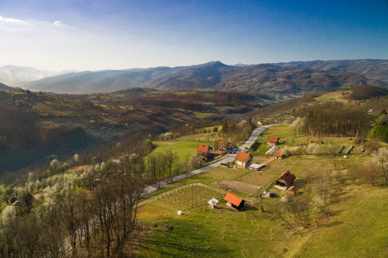 Villa Brvnara Na Bregu Bajina Basta Exterior foto