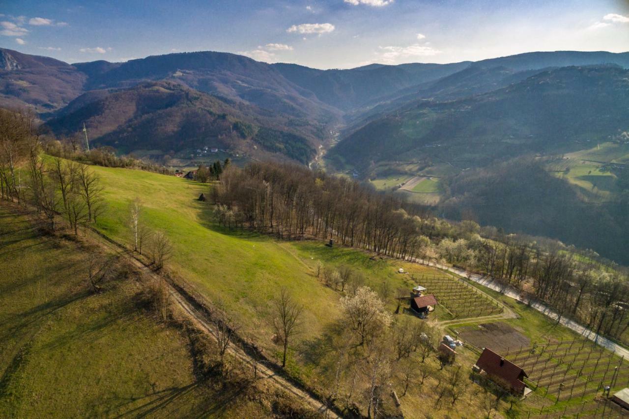 Villa Brvnara Na Bregu Bajina Basta Exterior foto