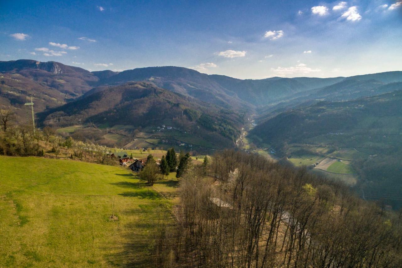 Villa Brvnara Na Bregu Bajina Basta Exterior foto